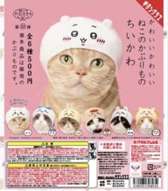 猫のかぶりもの ちいかわ ガチャ シーサーのサムネイル