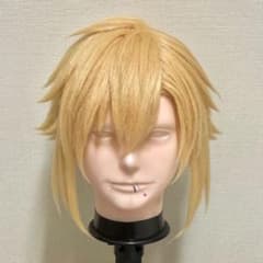 桃源暗鬼 皇后崎迅 アシスト セット済み ウィッグ コスプレ衣装 黒 金