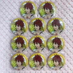 あんスタ　天城燐音　椎名ニキ サマーランド 缶バッジ 痛バ 天城燐音 サマーランド 缶バッジ 11点 - メルカリ