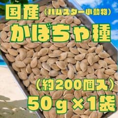 【国産かぼちゃの種　ハムスター・小動物のおやつ　乾燥★かぼちゃ種　50g×1袋】のサムネイル