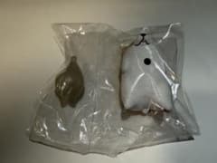 あにまる幽体さんぽ　こぎたま　nii-to様専用のサムネイル