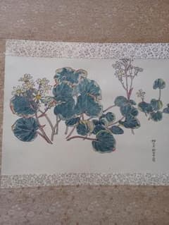 江戸屋の原画　掛け軸　1265x570mm E817 石蕗　つわぶき図　作者不詳 江戸屋の原画 掛け軸 1265x570mm E817 石蕗 つわぶき図 作者不詳