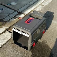 ゲージのサムネイル