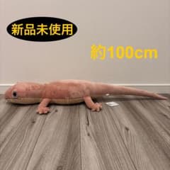 わくでかぬいぐるみ 珍獣捕獲シリーズ ～キョダイヤモリ～