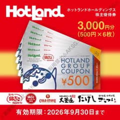 ホットランド株主優待券3000円 銀だこ ハイボール酒場2026/9/30迄