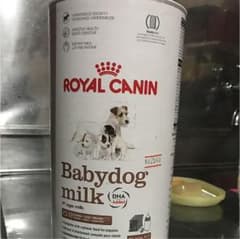 犬 ミルクのサムネイル