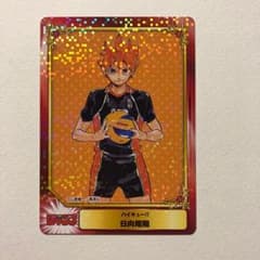 ハイキュー！！ 日向翔陽 アニメイト特典カードのサムネイル
