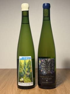 宮本ヴィンヤード＋モンガク谷 北海道希少白ワイン2本セット - メルカリ
