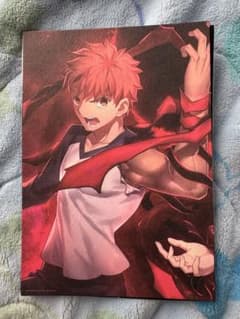 극장판 Fate/stay night Heaven's Feel 특전 위궁 시로