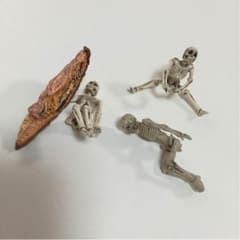 フチ子 ガイコツのサムネイル