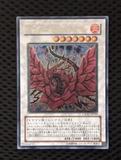 ワンオーナー 極美品〜完美品級 ブラック・ローズ・ドラゴン レリーフ