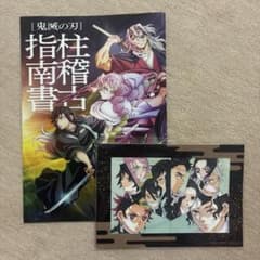 Demon Slayer: Kimetsu no Yaiba Finger Pillar Training Guidebook Bonus Set