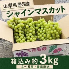 山梨県勝沼産 シャインマスカット 約3kg 4〜5房 農家直送のサムネイル