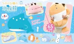 つぶらな瞳の水族館　じんべえざめ（ビッグサイズ）のサムネイル