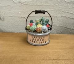 ミニミニサボテンの寄せ植え　1のサムネイル