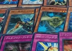 キムリカン様専用のサムネイル