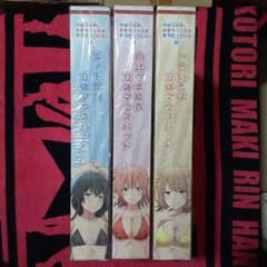 俺ガイル 立体マウスパッド3種類とタペストリー3種類。値下げ依頼あり 