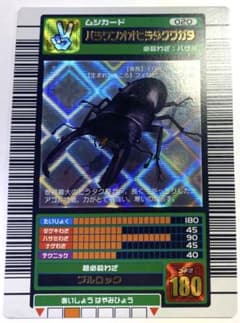 m14338282553_1.jpg?1703222653