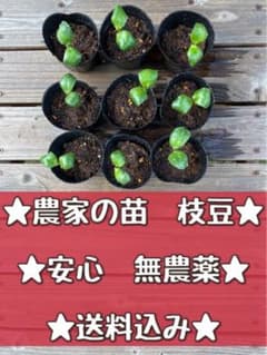 高橋和男様 リクエスト 5点 まとめ商品のサムネイル