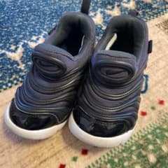 NIKE ナイキ ダイナモフリーのサムネイル