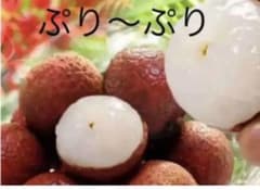 「黒葉」ライチ種のサムネイル