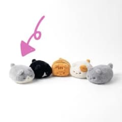 【新品】子猫 ミニぬいぐるみ 趴趴猫毛绒のサムネイル