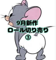 ロールシール 切り売り 9月新作のサムネイル