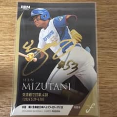 BBM 2024 FUSION 水谷瞬 北海道日本ハムファイターズ 金箔サイン