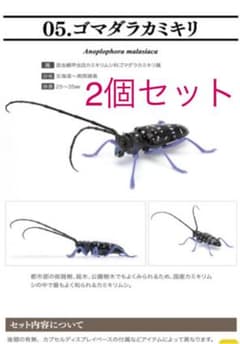 ２個セット　いきもの大図鑑　くわがた04 ゴマダラカミキリのサムネイル