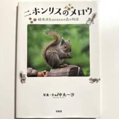 ニホンリスのメロウ : 軽井沢Kazusaの森の物語のサムネイル
