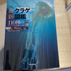 Yuzukichi様 リクエスト 2点 まとめ商品のサムネイル