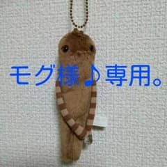 モグ様♪専用。のサムネイル