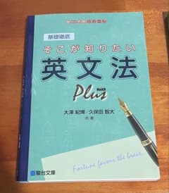 そこが知りたい英文法 Plus