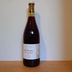 Domaine Nakajima 2024 Pinot Noir 日本ワイン Domaine Nakajima 2024 Pinot Noir 日本ワイン - メルカリ