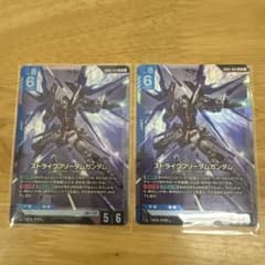 ストライクフリーダムガンダムLR 2枚セット