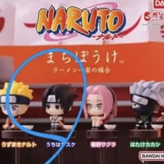 m14431023870_1.jpg?1746170122