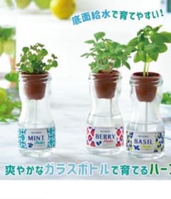 BIN-GREEN 栽培セット ミント＆ワイルドストロベリー