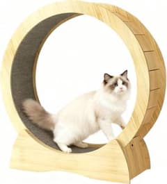 キャットホイール 大きめ バンブー製のサムネイル