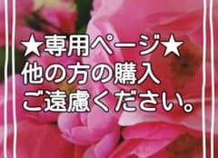 MIRA様専用★お値下げ不可！EXILE 黒木啓司 ガチャ ベルトのサムネイル