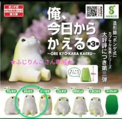 俺、今日からかえる ★ふじりんごさん専用★のサムネイル