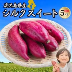 신물 가고시마현산 실크 스위트 5㎏ 고구마 208