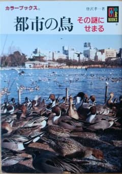 都市の鳥 : その謎にせまるのサムネイル