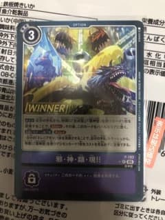 デジモンカード　邪・神・顕・現‼︎ 一枚300円 m14510118122_1.jpg?1751808648