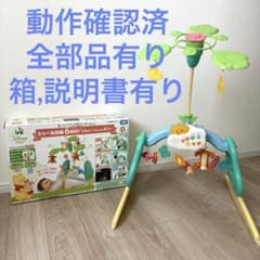 プーメリー くまのプーさん えらべる回転6WAYジムにへんしんメリー