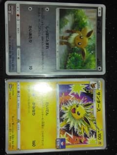 ほ*て様 ポケモンカード イーブイ サンダースのサムネイル
