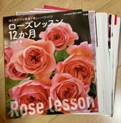 【裁断済み】はじめてでも簡単! 楽しいバラづくり ローズレッスン12か月のサムネイル