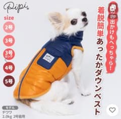 【pipi】ダウンベスト5号　3枚セットのサムネイル