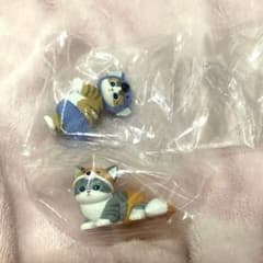 mofsand にゃんぱんつ！ フィギュア きつね コアラのサムネイル