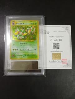 ARS10】キレイハナ 旧裏 neo 渦巻きあり 鑑定書付き PSA10相当 - メルカリ