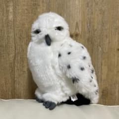 USJ 해리포터 헤드위그 봉제인형 팔찌